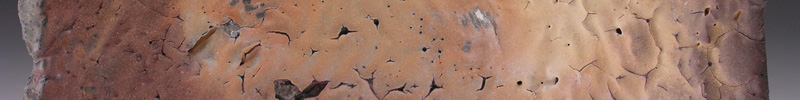 Blood in the Desert - Click to visit the gallery.