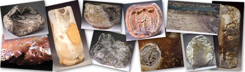 Collage - Click to visit the gallery.