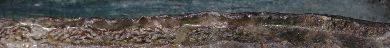 Lap Pool - Click to access the gallery.