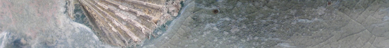 Ocean Fat Boy - Click to visit the gallery.