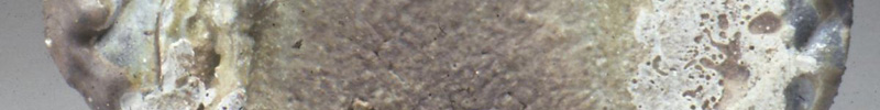 Stretchy Rock - Click to visit the gallery.
