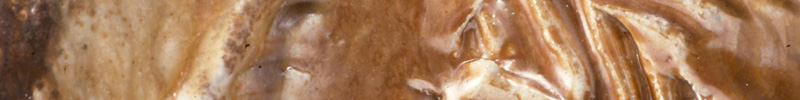 Trylobite - Click to access the gallery.