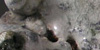 Bubble Rock